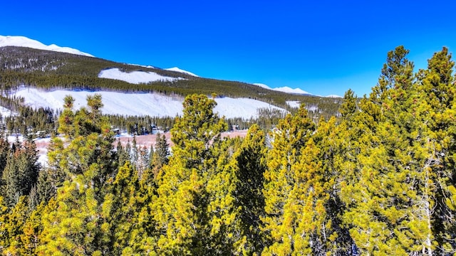 125 Pennsylvania Creek Trl, Blue River, CO 80424