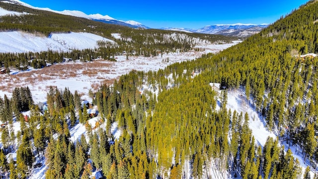 125 Pennsylvania Creek Trl, Blue River, CO 80424