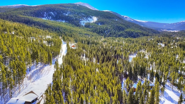 125 Pennsylvania Creek Trl, Blue River, CO 80424