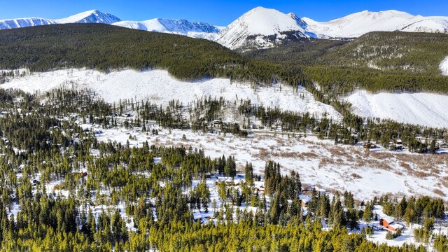 125 Pennsylvania Creek Trl, Blue River, CO 80424