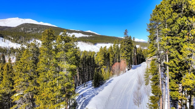 125 Pennsylvania Creek Trl, Blue River, CO 80424