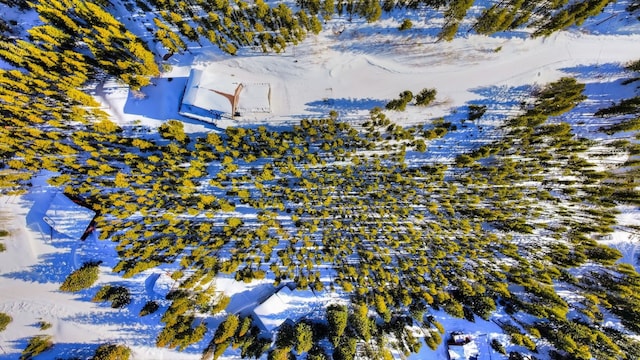 125 Pennsylvania Creek Trl, Blue River, CO 80424