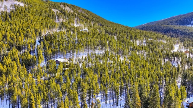 125 Pennsylvania Creek Trl, Blue River, CO 80424