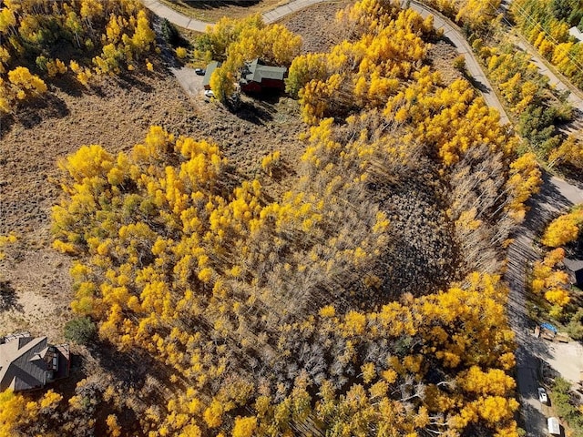 990 Lakeview Cir, Silverthorne, CO 80498 - photo 13