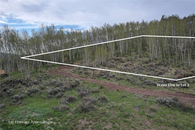 990 Lakeview Cir, Silverthorne, CO 80498 - photo 3