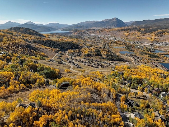 990 Lakeview Cir, Silverthorne, CO 80498 - photo 16