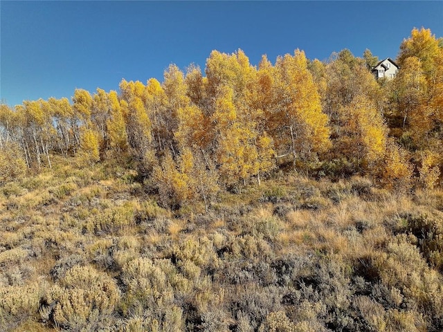 990 Lakeview Cir, Silverthorne, CO 80498 - photo 12