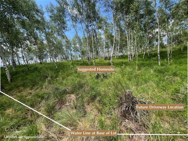 990 Lakeview Cir, Silverthorne, CO 80498 - photo 4