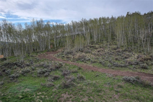 990 Lakeview Cir, Silverthorne, CO 80498 - photo 2