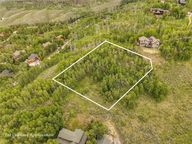990 Lakeview Cir, Silverthorne, CO 80498 - photo 5