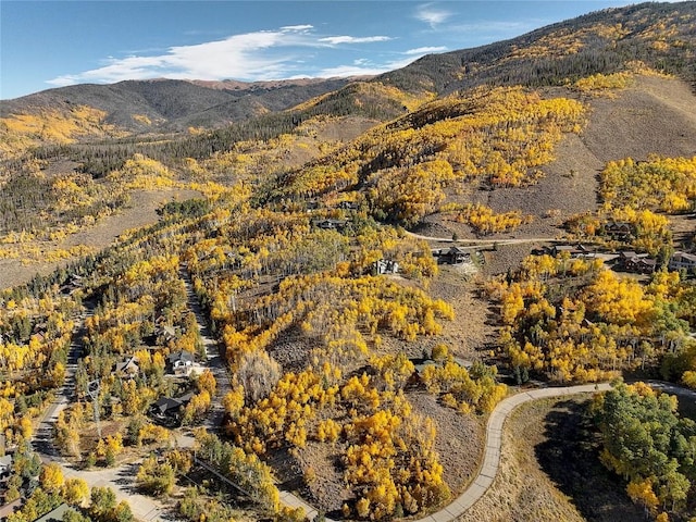 990 Lakeview Cir, Silverthorne, CO 80498 - photo 14