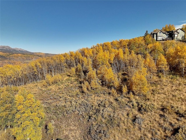 990 Lakeview Cir, Silverthorne, CO 80498 - photo 17