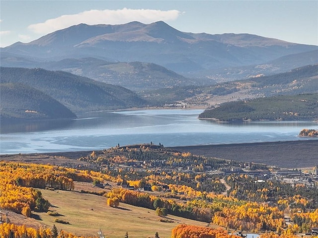 990 Lakeview Cir, Silverthorne, CO 80498 - photo 15