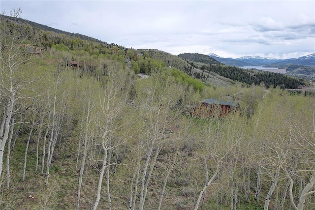 990 Lakeview Cir, Silverthorne, CO 80498 - photo 9