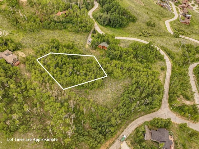 990 Lakeview Cir, Silverthorne, CO 80498 - photo 6