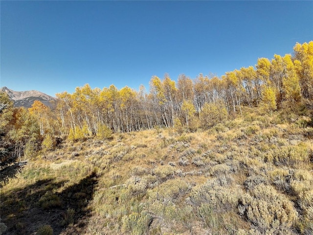 990 Lakeview Cir, Silverthorne, CO 80498 - photo 11