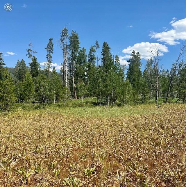 10 Whiffle Tree Trl, Oak Creek, CO 80467