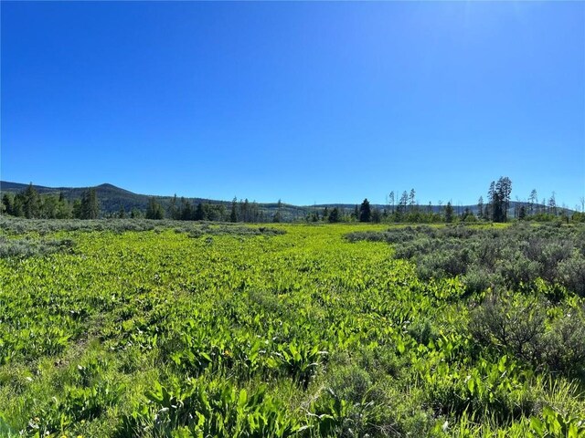 10 Whiffle Tree Trl, Oak Creek, CO 80467