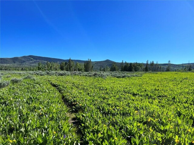 10 Whiffle Tree Trl, Oak Creek, CO 80467