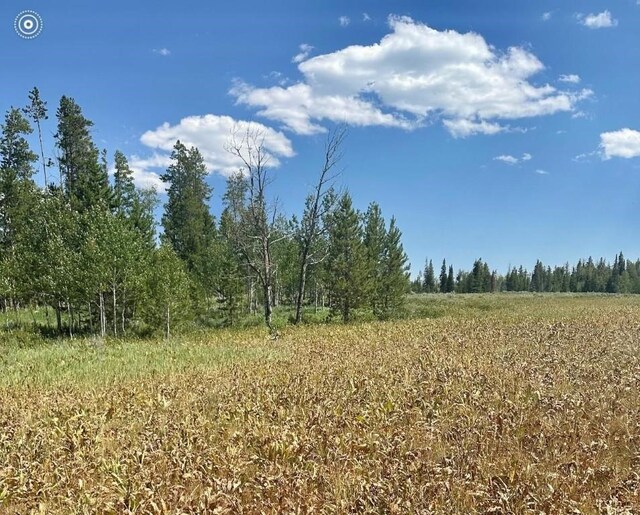 10 Whiffle Tree Trl, Oak Creek, CO 80467