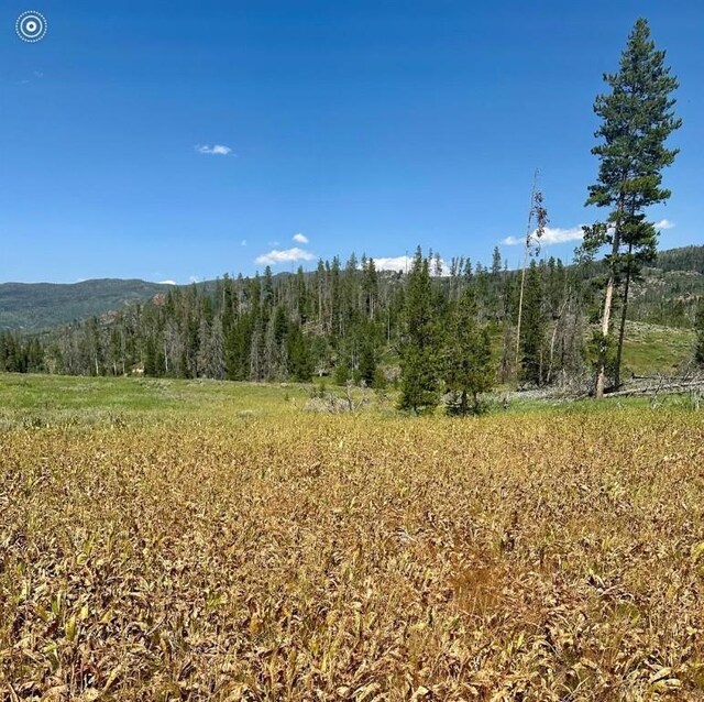 10 Whiffle Tree Trl, Oak Creek, CO 80467