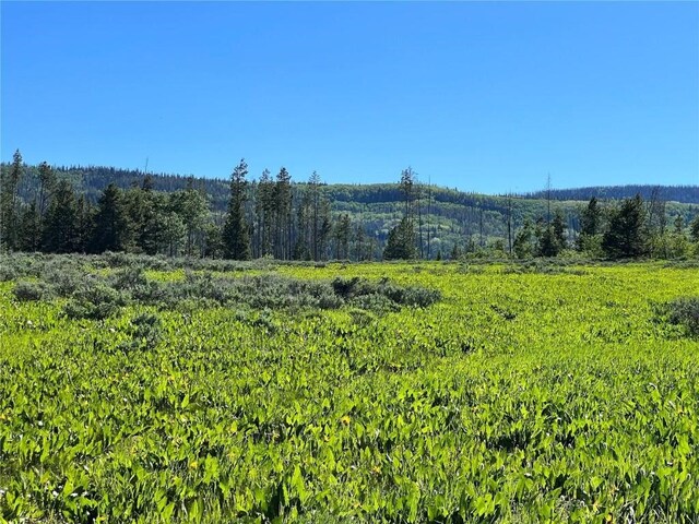 10 Whiffle Tree Trl, Oak Creek, CO 80467