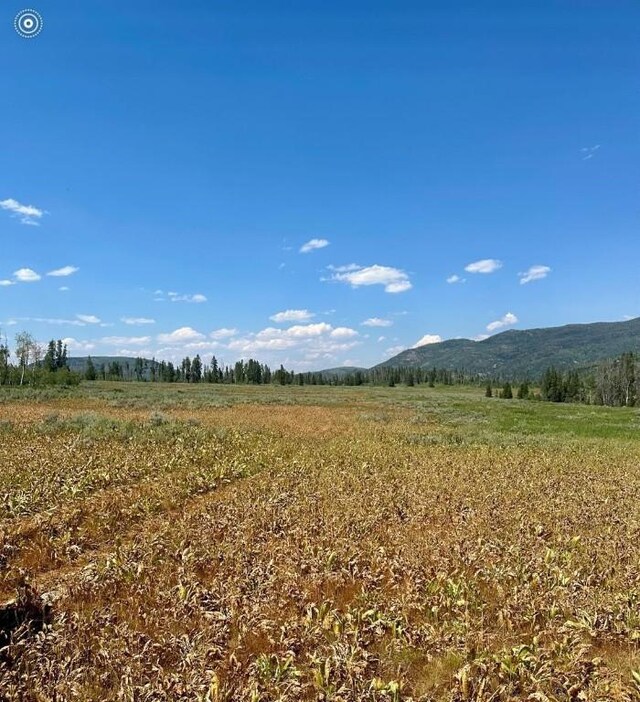 10 Whiffle Tree Trl, Oak Creek, CO 80467