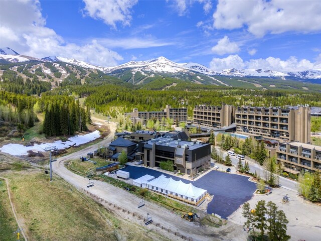 640 Village Rd Unit 4427, Breckenridge, CO 80424 - photo 3