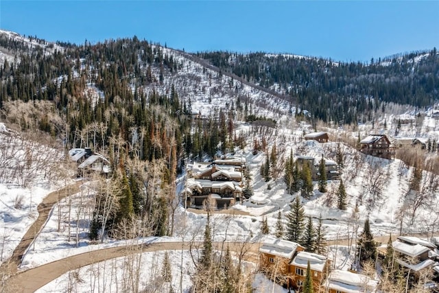 snowy aerial view featuring a mountain view and a view of trees