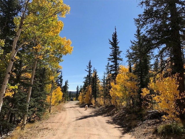 56 Apache Trl, Como, CO 80432 - view of dirt / gravel road with a view of trees