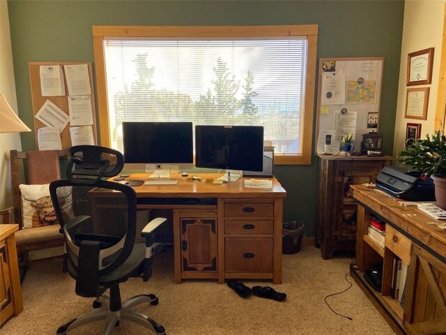 56 Apache Trl, Como, CO 80432 - office area with light carpet