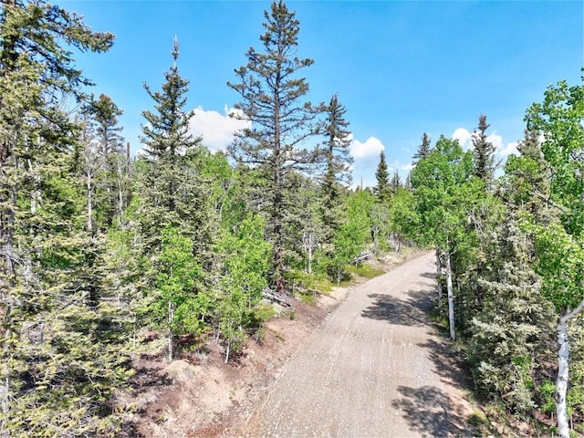 56 Apache Trl, Como, CO 80432 - view of street
