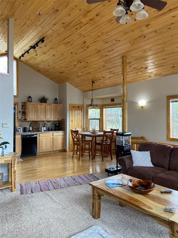 56 Apache Trl, Como, CO 80432 - living area featuring lofted ceiling, wood ceiling, rail lighting, and light wood-style floors