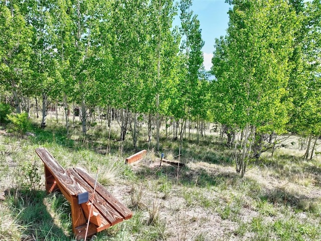 56 Apache Trl, Como, CO 80432 - view of property's community