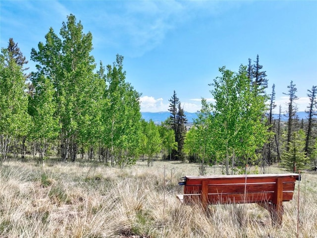 56 Apache Trl, Como, CO 80432 - view of yard