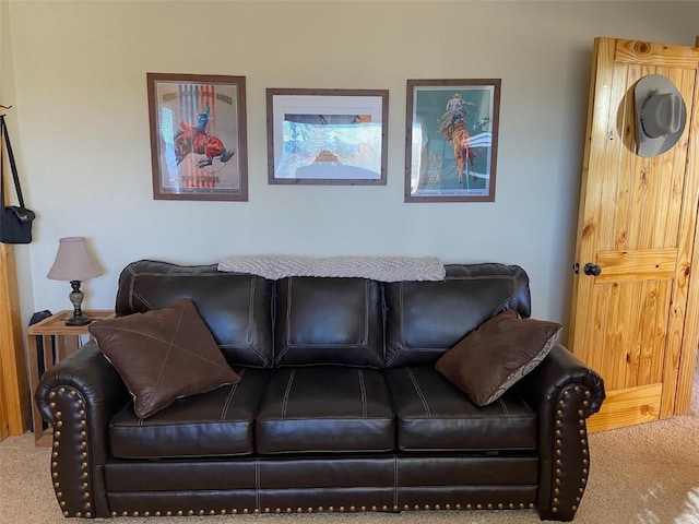 56 Apache Trl, Como, CO 80432 - view of carpeted living room