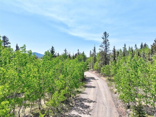 56 Apache Trl, Como, CO 80432 - view of dirt / gravel road