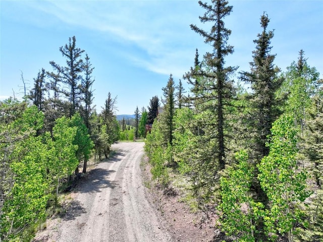 56 Apache Trl, Como, CO 80432 - view of dirt / gravel road