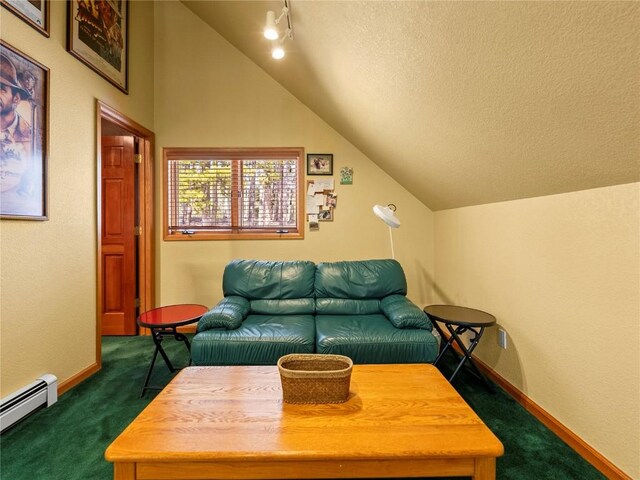 463 Blue Flag Cir, Breckenridge, CO 80424 - living area with a baseboard heating unit, dark carpet, vaulted ceiling, baseboards, and rail lighting