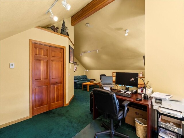 463 Blue Flag Cir, Breckenridge, CO 80424 - home office with dark colored carpet and track lighting