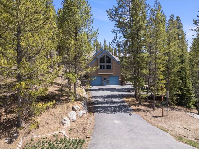 463 Blue Flag Cir, Breckenridge, CO 80424 - view of front of house with an attached garage and asphalt driveway