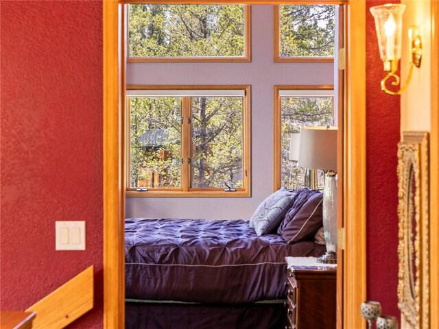 463 Blue Flag Cir, Breckenridge, CO 80424 - view of bedroom