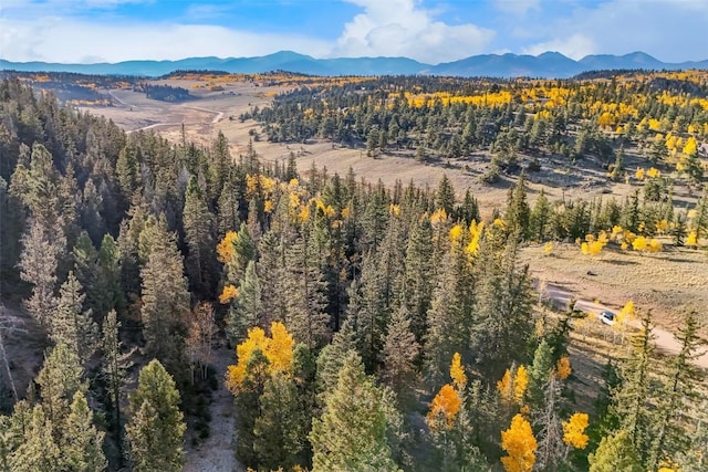 2249 E Longbow Dr, Como CO, 80456 land for sale