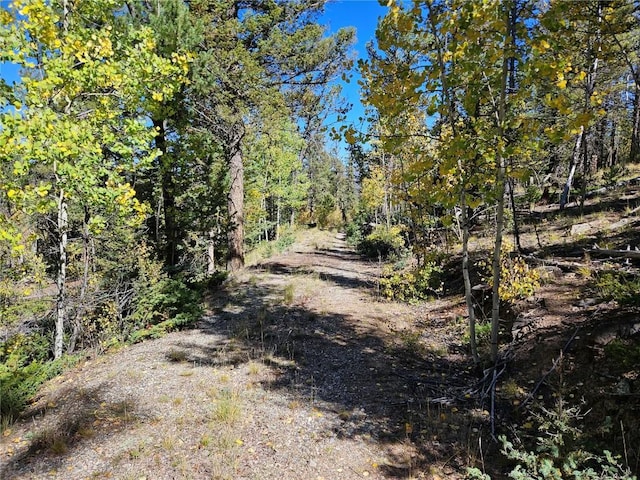 Listing photo 3 for 2249 E Longbow Dr, Como CO 80456