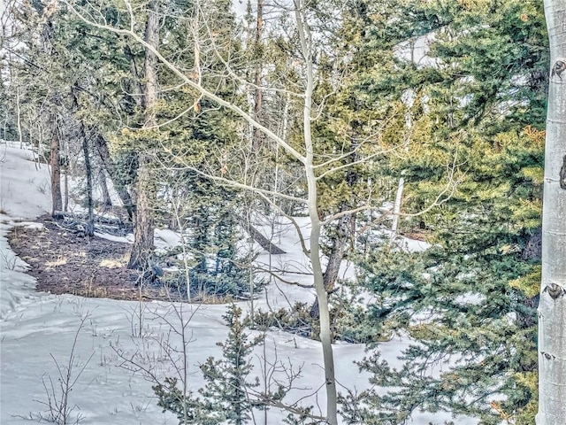 486 Pathfinder Rd, Como, CO 80456
