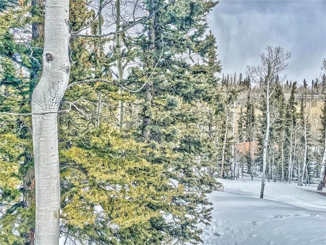 486 Pathfinder Rd, Como, CO 80456