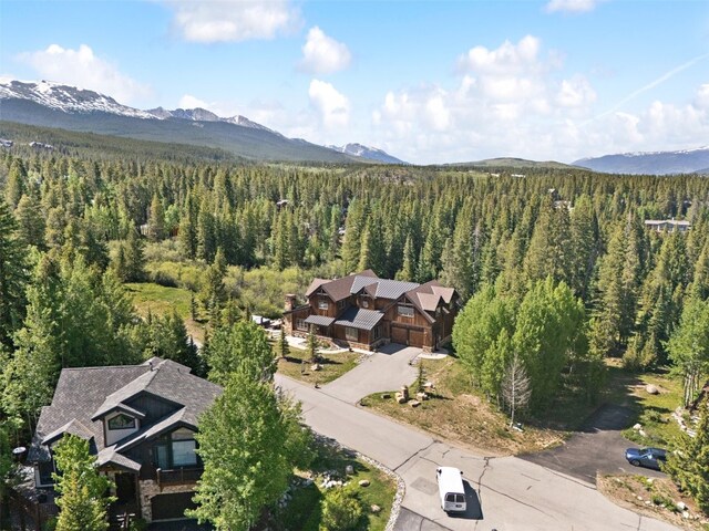 34 Beavers Dr, Breckenridge, CO 80424 - photo 2