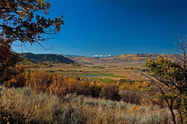 34460 Panorama Dr, Steamboat Springs, CO 80487 - photo 3