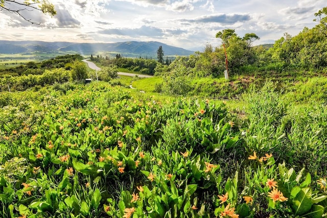 34460 Panorama Dr, Steamboat Springs, CO 80487 - photo 5