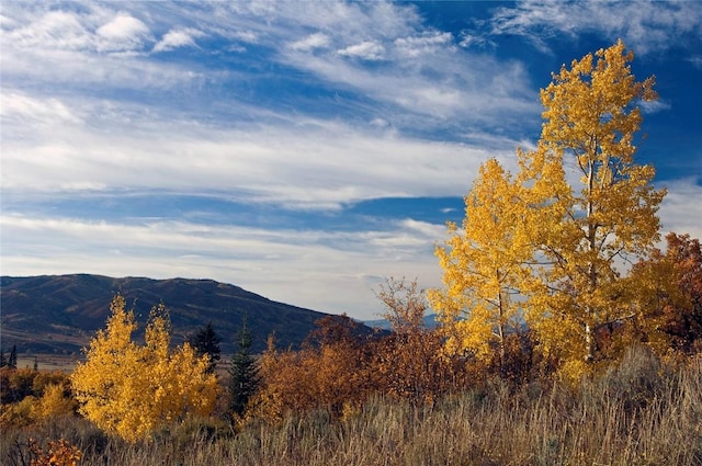 34460 Panorama Dr, Steamboat Springs, CO 80487 - photo 4